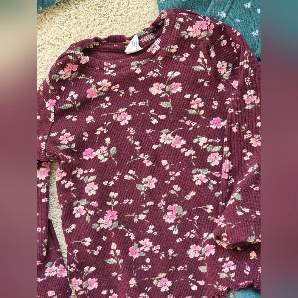 babyGap Logo Zip Hoodie and Pants Set with Floral Long Sleeve Top